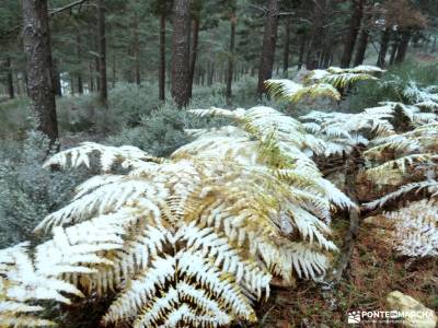 Cerrón,Cerro Calahorra_Santuy;grupo senderismo madrid gratis rutas senderismo españa verano evento